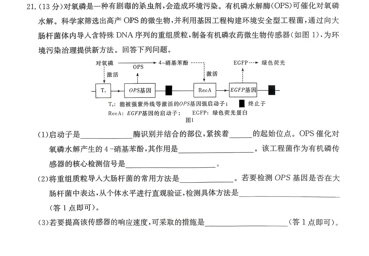基因工程例题分享炎德文化实业炎德英才